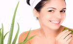 Chữa lành vết thương bằng lô hội