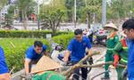 Tuổi trẻ Hải Phòng xông pha tình nguyện khắc phục ảnh hưởng sau cơn bão số 3