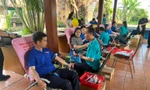 Tuổi trẻ TP.HCM hưởng ứng Tháng Thanh niên qua hoạt động hiến máu nhân đạo