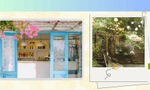Đà Nẵng: Tọa độ cà phê đẹp "kịch trần" dành cho Gen Z mê hoạt hình Ghibli 