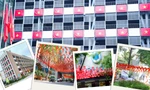 Các trường đại học tại TP.HCM rực sắc cờ đỏ, cùng vẽ nên bức tranh hòa bình
