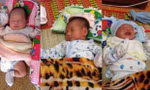 3 đứa trẻ bị bỏ rơi ở chùa Phước Sơn ẢNH: Minh Nhật