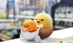 Phim mới Netflix: Khi quả trứng lười nhất thế gian Gudetama cũng “đua đòi” phiêu lưu