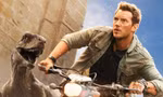 Chris Pratt hé lộ về "Jurassic World Dominion": Tuyệt vời như trận pháo hoa dài 2 tiếng