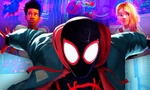 "Spider-Man: Across The Spider-Verse" bội thu giải thưởng nhưng vẫn khó giành Oscar