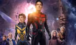 Ant-Man: Từ gã tội phạm vô danh đến siêu anh hùng Marvel "nhỏ mà có võ"
