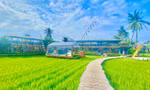 'Cởi trói' cho loại hình đất nông nghiệp kết hợp homestay, farmstay