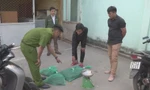 Số động vật rừng vừa bị bắt giữ vào ngày 15/1