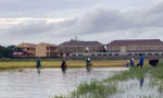 Đoàn viên thanh niên giúp dân gặt lúa chạy bão Conson.