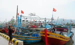 Người dân chằng néo tàu cá chống bão