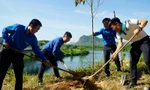 Trồng 6.300 cây xanh chống sạt lở, tạo cảnh quan tại các đền tưởng niệm liệt sĩ ở Quảng Bình