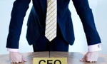 Ở đâu, lương của CEO 500 triệu đồng/tháng?