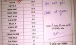 Bảng điểm tổng kết 9,3 của nữ sinh có học lực trung bình. Ảnh chụp màn hình.