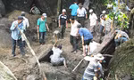 Máu, nước mắt và cuộc chơi săn lộc rừng giá bạc tỷ