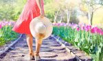 Ngày đẹp du xuân và hướng tốt cho từng tuổi để cả năm thuận buồm xuôi gió