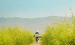 Ngắm bộ ảnh làng quê miền Trung đẹp tựa thước phim điện ảnh của chàng trai 9X