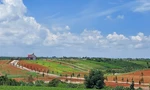 Chuyển cơ quan điều tra làm rõ vi phạm đất đai một huyện ở Lâm Đồng 