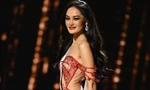 Tranh cãi sau chung kết Hoa hậu Hoàn vũ 