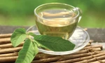 Thực hư uống nước lá ổi chữa bách bệnh, thậm chí 'đánh tan' cả ung thư, tiểu đường