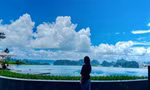 Bật mí về 'bóng hồng' đi vào thơ Trần Quang Quý 