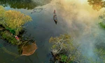 Đẹp mê mẩn 'tấm áo mới' khu rừng Rú Chá mộng mơ