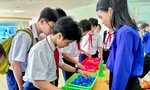 Sôi nổi Ngày hội tuổi thơ 2025 tại Đà Nẵng