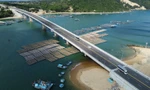 Cung đường biển nghìn tỷ ở Bình Định có gì đặc biệt?