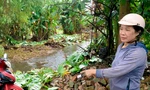 Nước thải từ bãi rác Khánh Sơn rò rỉ gây ô nhiễm