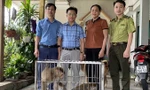 Người dân Hà Tĩnh bàn giao nhiều cá thể động vật quý hiếm 