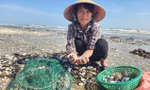 Người dân Hà Tĩnh đổ xô ngâm nước vớt 'lộc biển'
