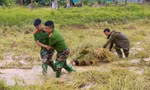 Hình ảnh Công an Hà Tĩnh lội ruộng gặt lúa giúp người dân sau lũ