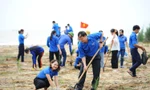 Trung ương Đoàn phát động trồng cây tại bãi biển ở Nghệ An. Ảnh: Dương Triều