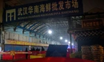 Chợ hải sản Hoa Nam, thành phố Vũ Hán, tỉnh Hồ Bắc, nơi bùng phát COVID-19, bị đóng cửa dài ngày 