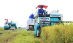 Ngành lúa gạo khẳng định vị thế mới 