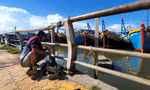  Trong khi chờ dầu về để ra khơi, anh Trương Văn Nhỏ, chủ tàu cá BTh-98386-TS mang bóng đèn ra thay cho tàu cá