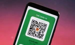 Cách tải và sử dụng PC Covid: App thay thế tất cả các ứng dụng phòng, chống COVID-19