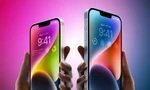 Đây là 5 điều mà người dùng nên biết nếu có ý định "chốt đơn" iPhone 14 Plus