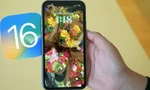 Người dùng iPhone than phiền máy hao pin nhanh hơn sau khi cập nhật iOS 16.5