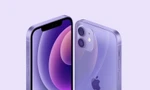 Ấn tượng đầu tiên về iPhone 12 màu Tím khoai mỡ: Màu sắc độc đáo, giá từ 16,1 triệu đồng