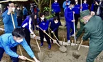 Các hoạt động chào mừng Tháng Thanh niên 2022: Miền Bắc rộn ràng không khí "màu áo xanh"