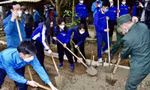 Các hoạt động chào mừng Tháng Thanh niên 2022: Miền Bắc rộn ràng không khí "màu áo xanh"