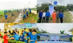 Chuỗi hoạt động Tháng Thanh niên 2024: Các địa phương chung tay xây dựng nông thôn mới