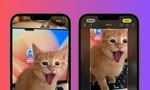 Apple cập nhật tính năng mới trên iOS 17 dành riêng cho "hội cuồng thú cưng"
