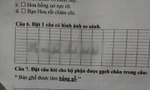 Học sinh Tiểu học đặt câu có hình ảnh so sánh, lấy ngay mẹ làm ví dụ khiến người đọc "bật ngửa"
