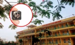 Nam sinh lớp 12 ở Nam Định đặt máy quay lén trong nhà vệ sinh để "tống tiền" 2 cô giáo