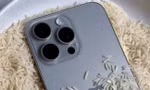 Apple khuyến cáo không bỏ iPhone bị ướt vào thùng gạo, vậy cần xử lý thế nào?