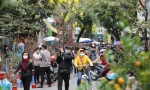 Tết con Rồng những năm qua miền Bắc thời tiết đều giá rét, vậy Tết Giáp Thìn thế nào?