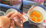 Thông tin "trứng gà giả" xuất hiện tràn lan trên mạng xã hội, thực hư ra sao?