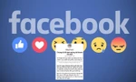 Cách mở khóa tài khoản Facebook bị vô hiệu hóa: Đơn giản, nhanh chóng và ai cũng làm được
