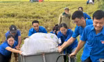 Tuổi trẻ Thái Bình, Hà Tĩnh hỗ trợ người dân để đảm bảo hành lang tuyến dự án 500kV mạch 3